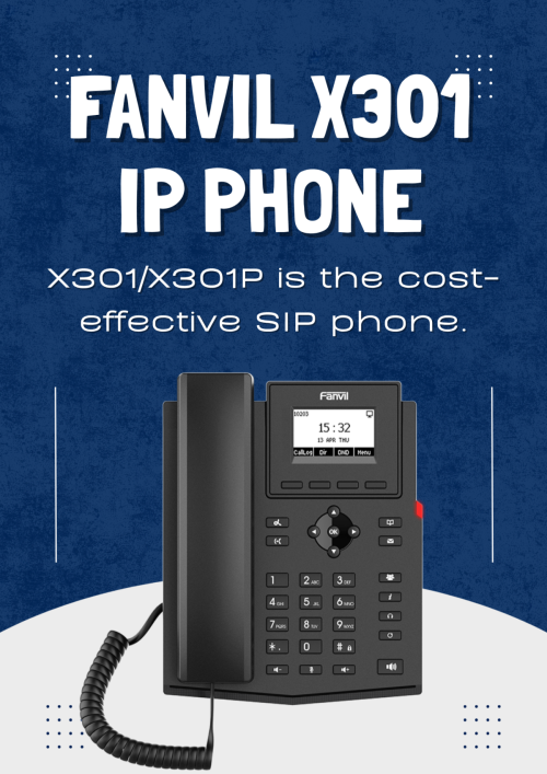 Fanvil X301 Entry Level IP Phone
